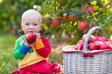 Sensory-Friendly Fall Activities for Children with Autism - Little Spurs Autism Centers