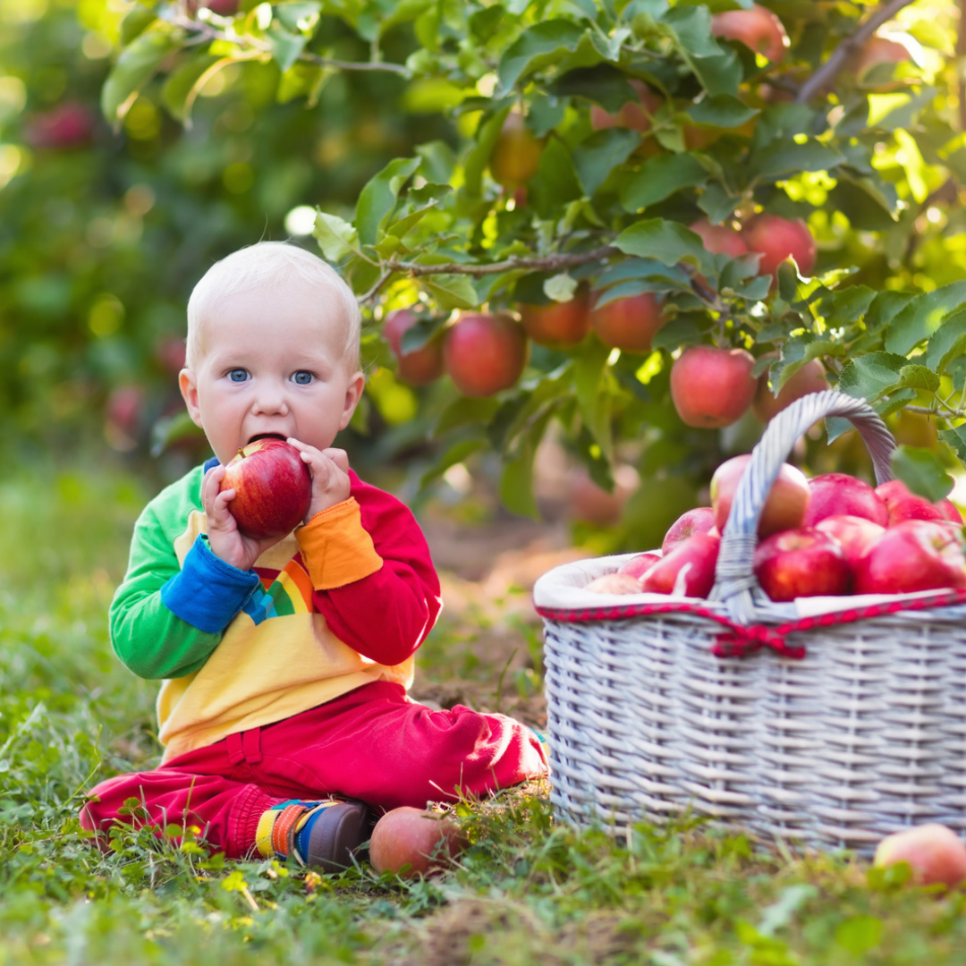 Sensory-Friendly Fall Activities for Children with Autism - Little Spurs Autism Centers